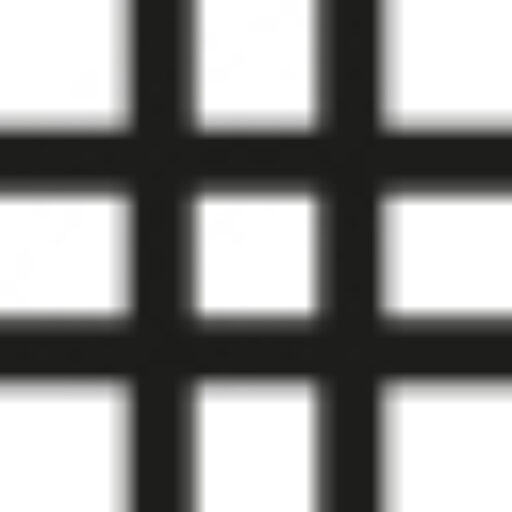 Ethnography Society